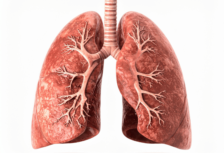 Pulmonology Care